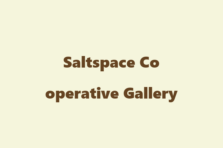 Saltspace Co operative Gallery