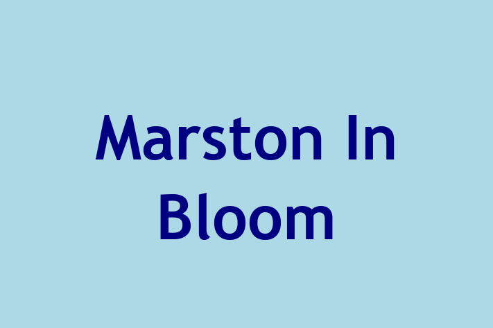 Marston In Bloom