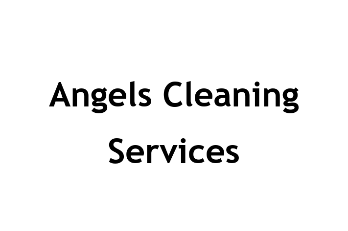 Angels Cleaning Services