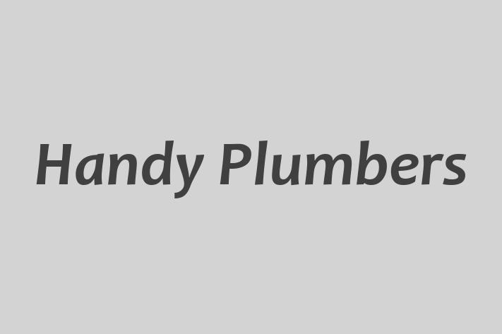 Handy Plumbers