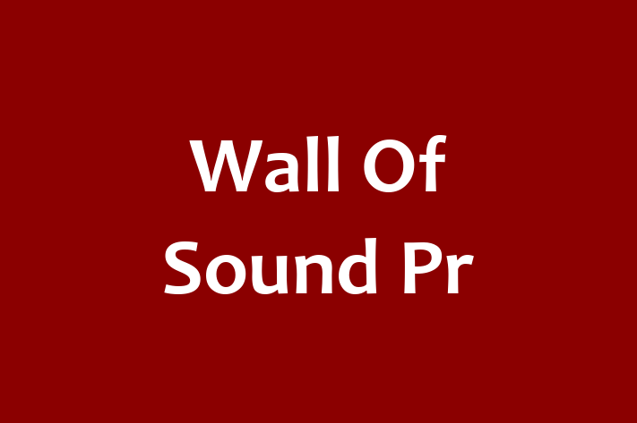 Wall Of Sound Pr