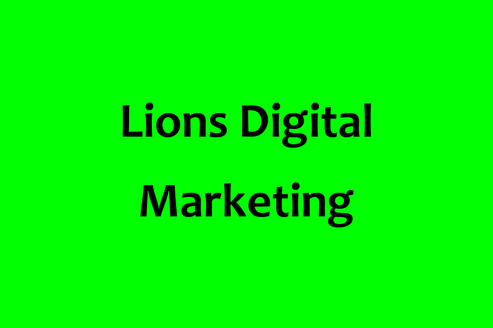 Lions Digital Marketing