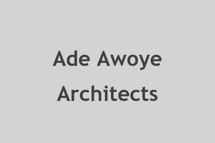 Ade Awoye Architects