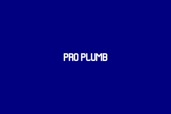 Pro Plumb