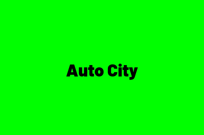 Auto City