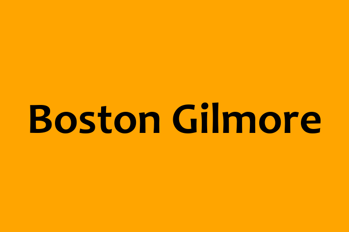 Boston Gilmore