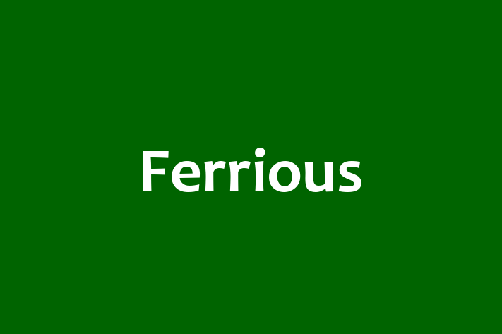 Ferrious