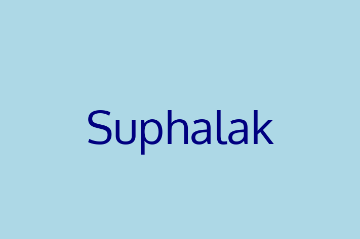 Suphalak Cat for Sale in Kendal