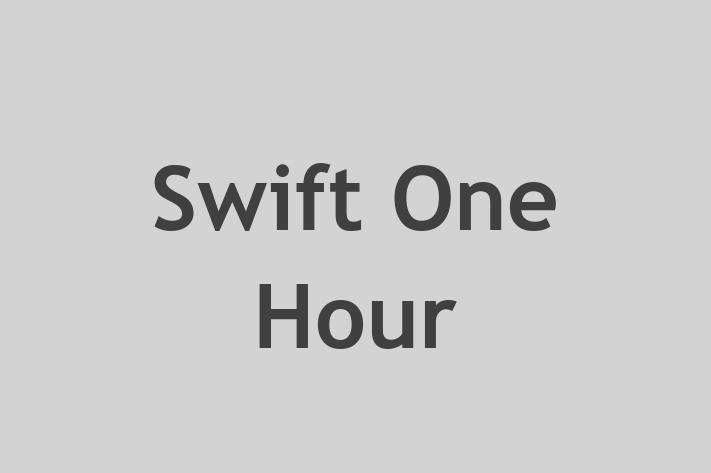 Swift One Hour