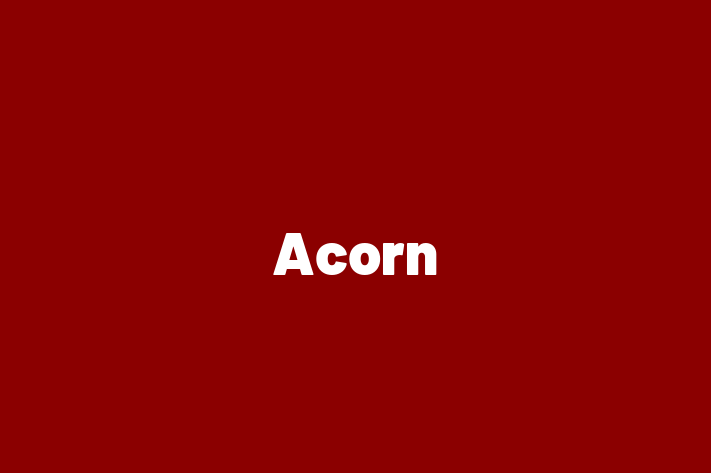 Acorn