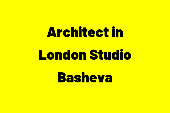 Architect in London   Studio Basheva