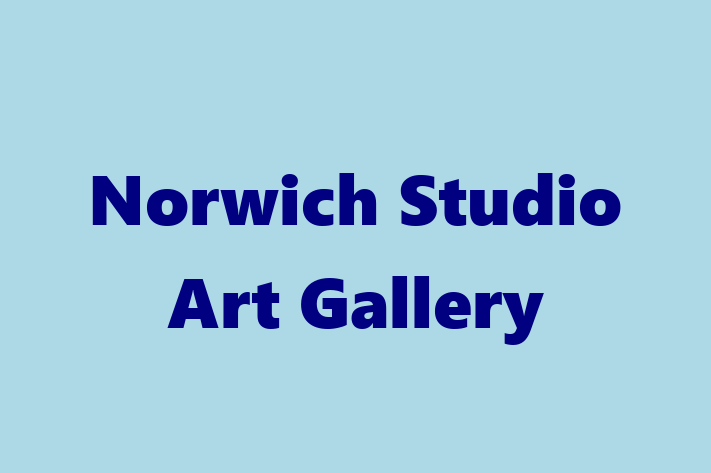 Norwich Studio Art Gallery