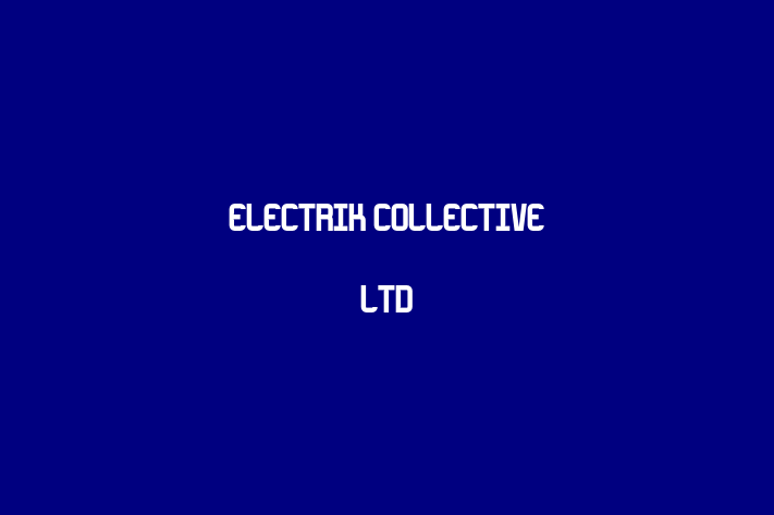 Electrik Collective Ltd