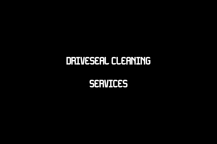 Driveseal Cleaning Services