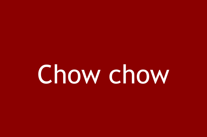 Chow chow for Sale in Ilford