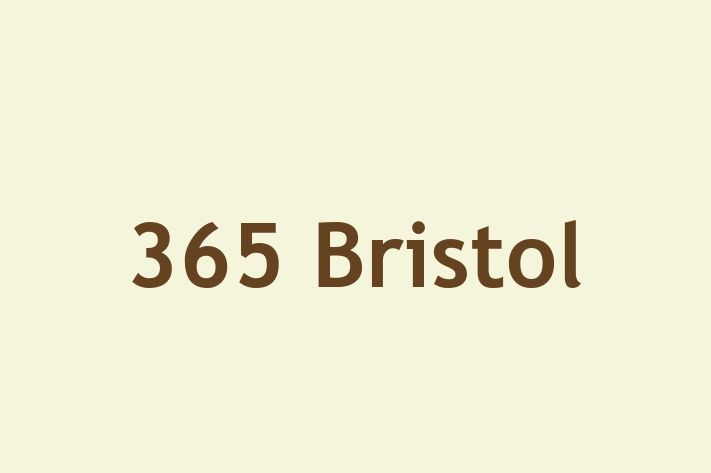 365 Bristol