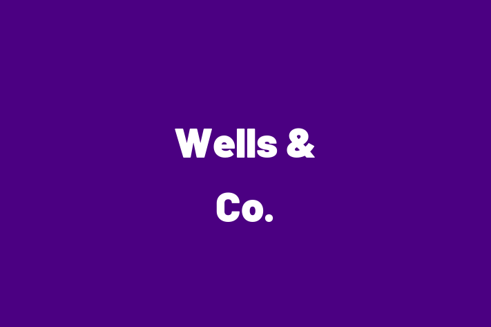 Wells & Co 