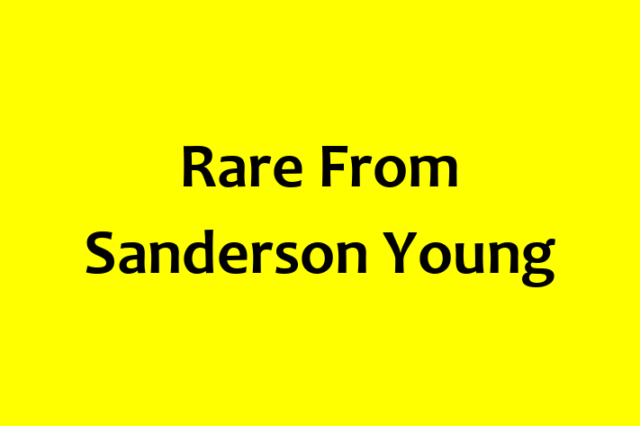 Rare From Sanderson Young