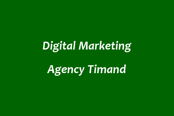 Digital Marketing Agency  Timand