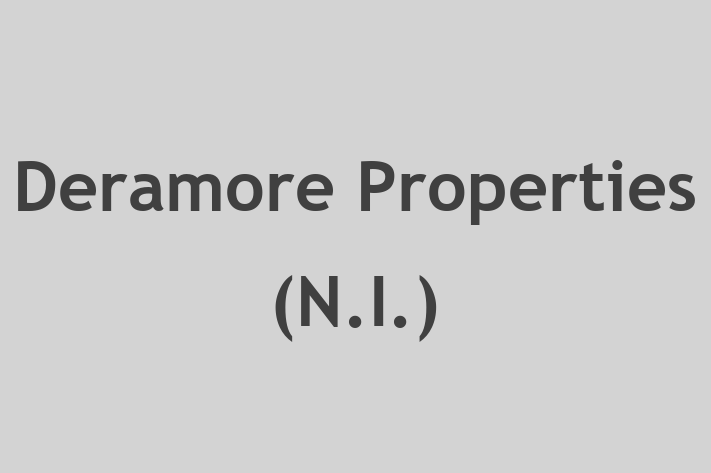 Deramore Properties (N I )