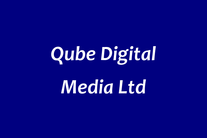 Qube Digital Media Ltd