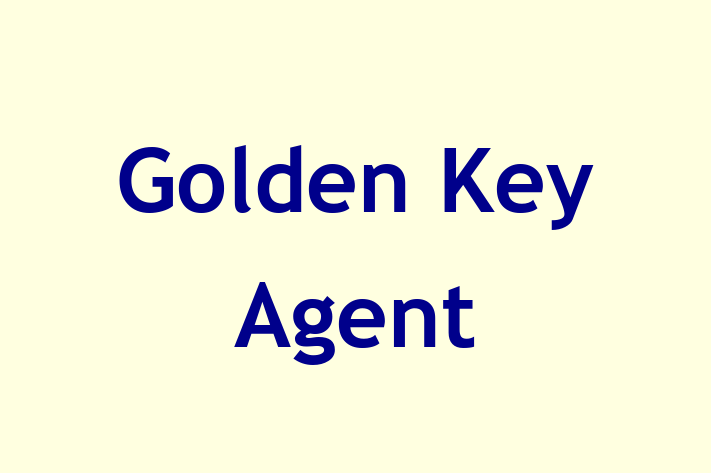 Golden Key Agent