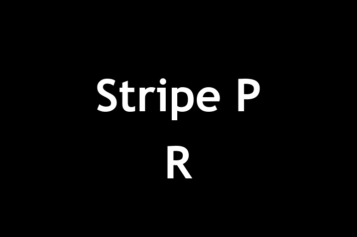 Stripe P R