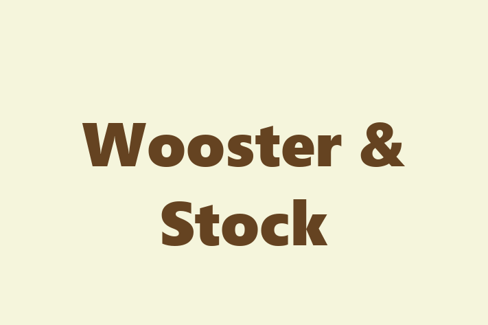 Wooster & Stock