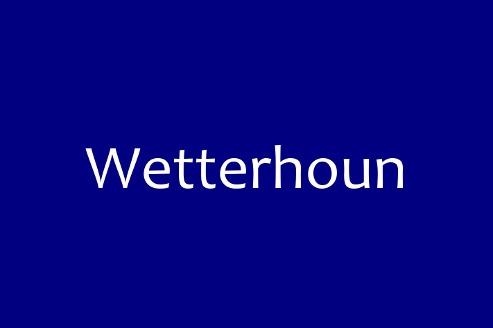 Dog Wetterhoun for Sale in Rochdale