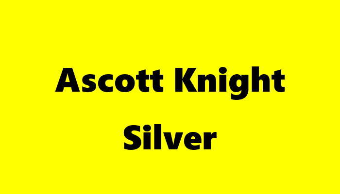 Ascott Knight Silver