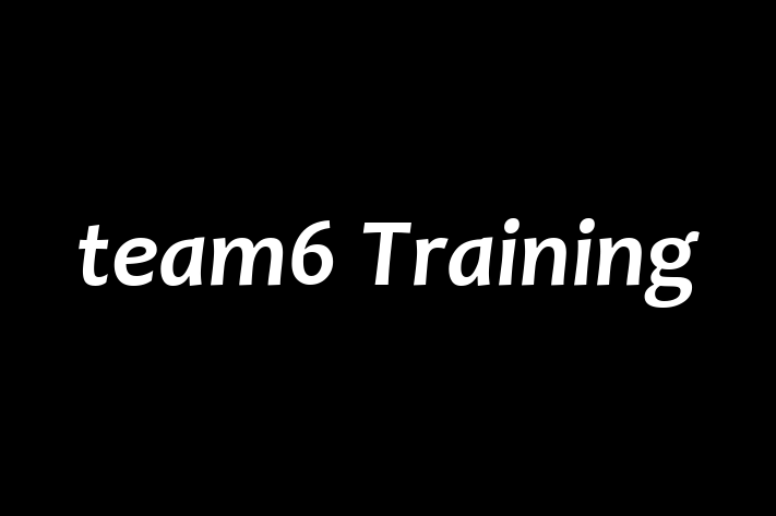 team6 Training