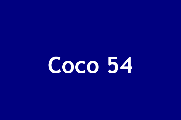 Coco 54