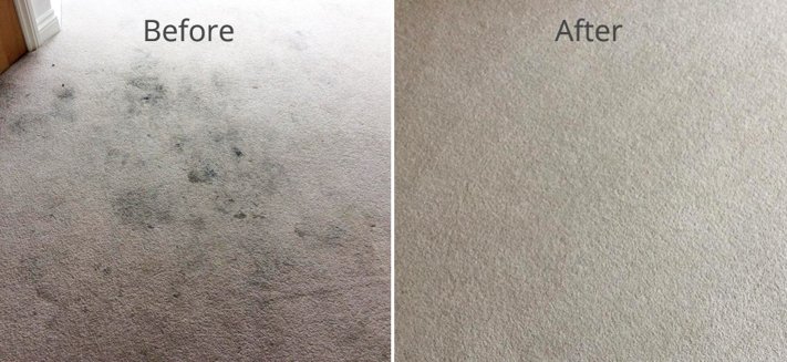 The Carpet Cleaner