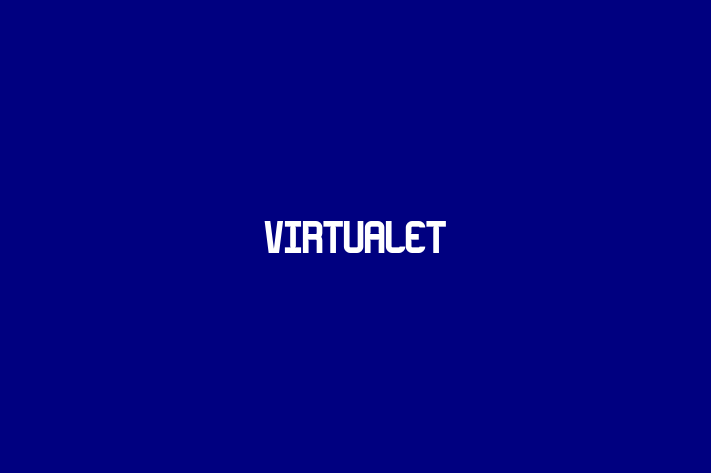 Virtualet