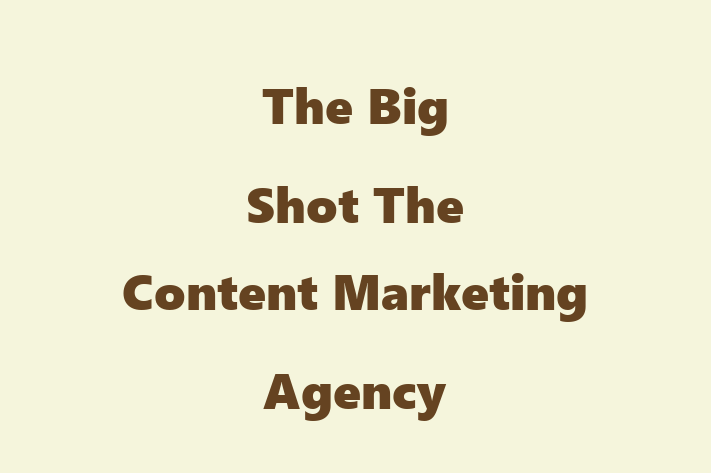 The Big Shot   The Content Marketing Agency