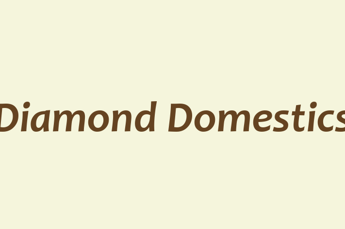 Diamond Domestics