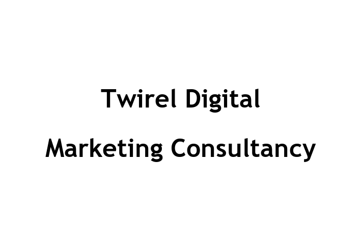 Twirel Digital Marketing Consultancy