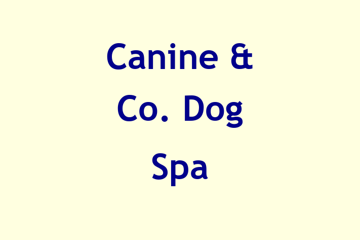 Canine & Co    Dog Spa