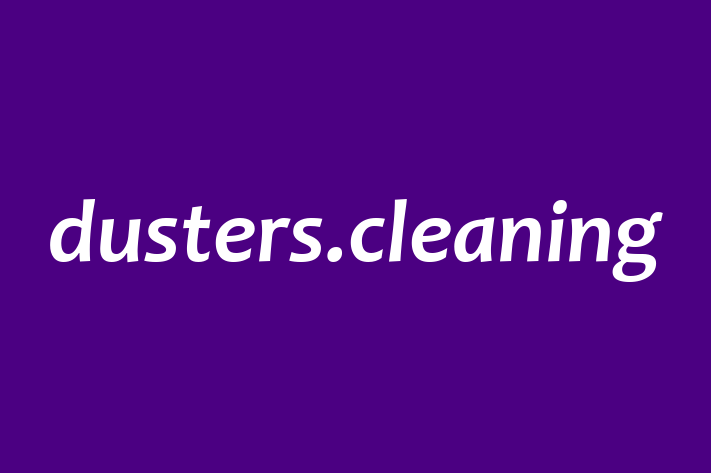 dusters cleaning