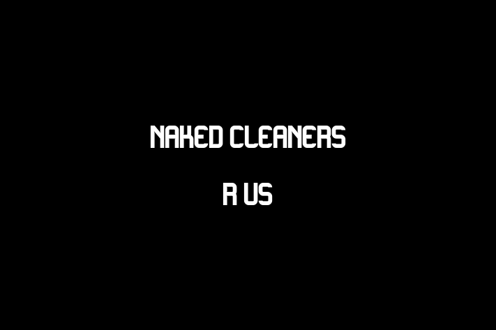 Naked Cleaners R US