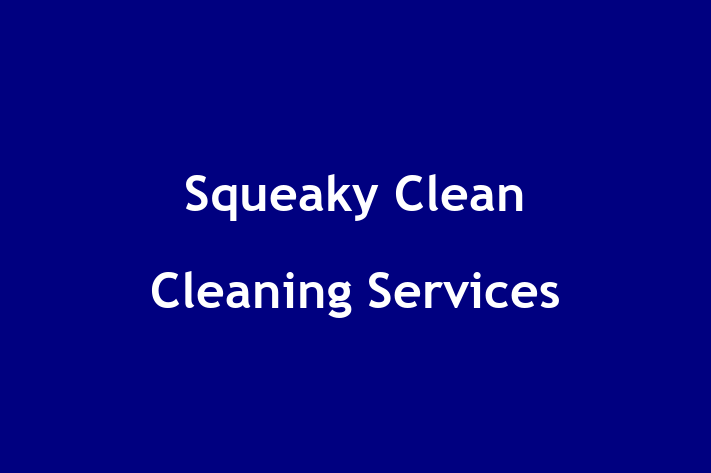 Squeaky Clean Cleaning Services