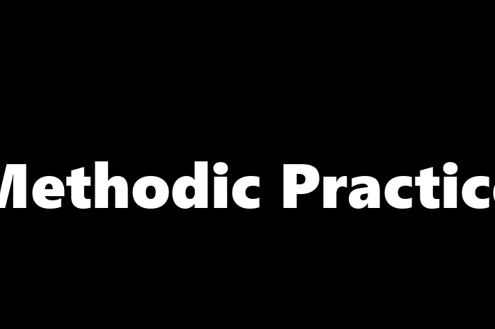 Methodic Practice