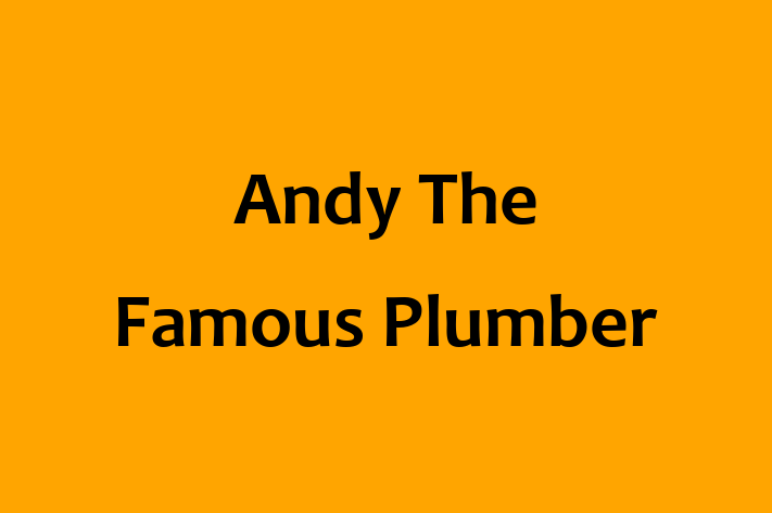 Andy The Famous Plumber