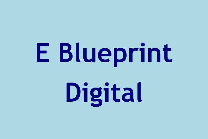 E Blueprint Digital