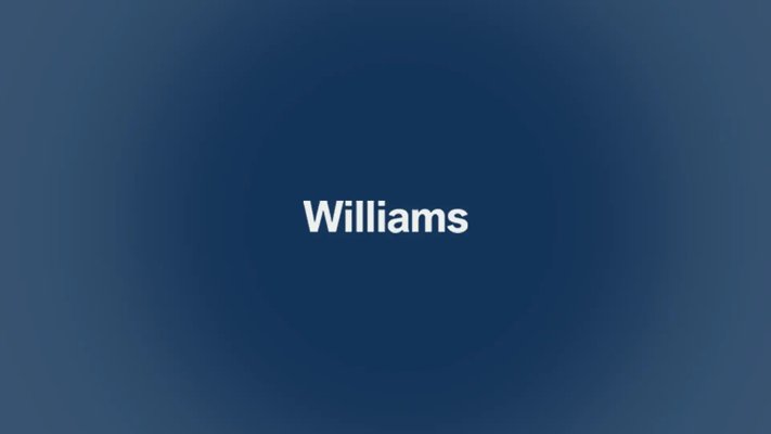 Williams Liverpool MINI