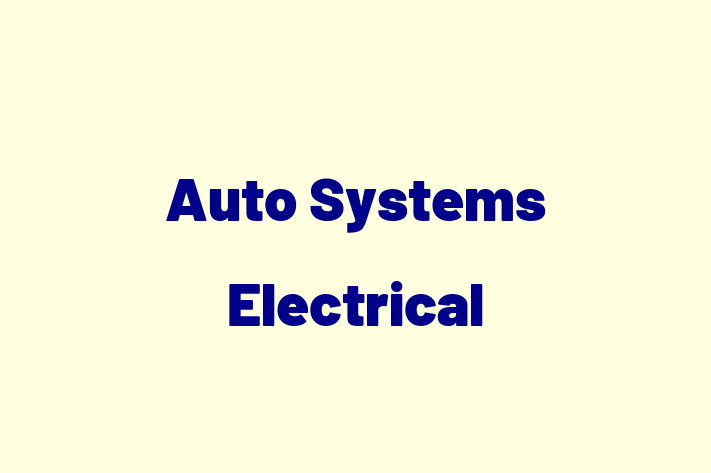 Auto Systems Electrical