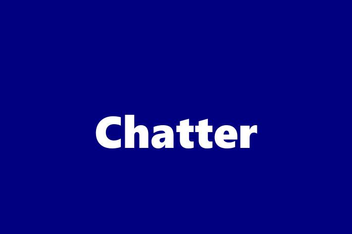 Chatter