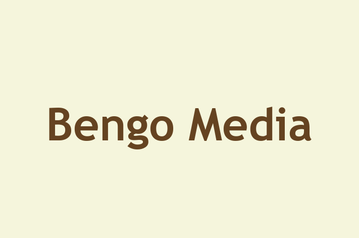 Bengo Media