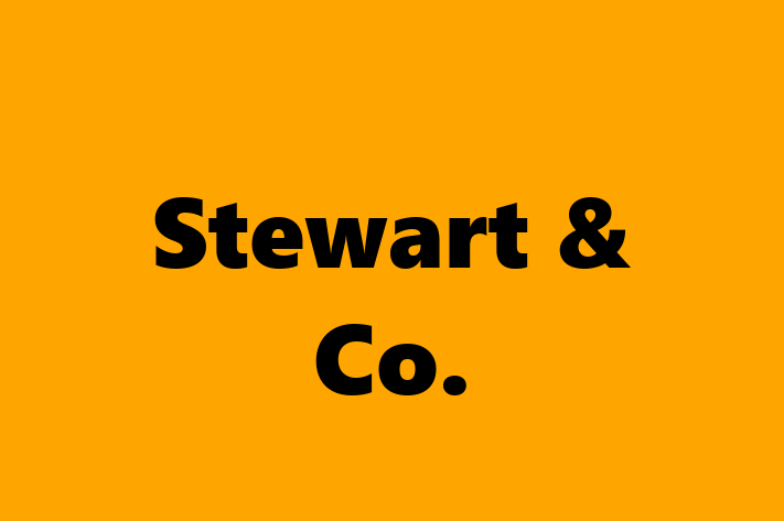 Stewart & Co 