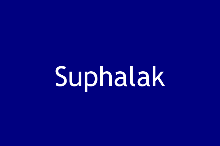 Charming Suphalak Cat for Sale in Oldham